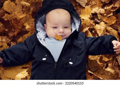 Top View. Cute Little Baby Is Lying Down On The Ground With Fallen Leaves On It.