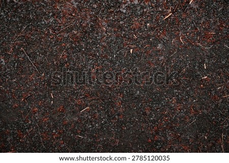 Top view of a damp ground surface covered with dark grey gravel, pine needles, small twigs, and fallen brown organic debris