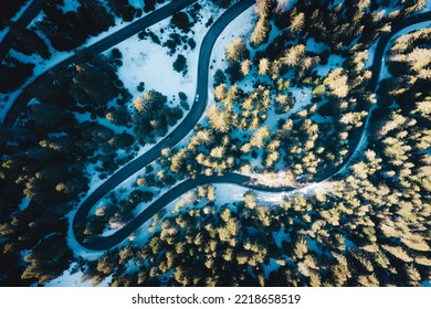 Top View Of A Dark Green Winter Forest Landscape. Aerial Nature Scene Of Pine Trees And Asphalt Road. Country Walkway Through The Mold Softwood Above.