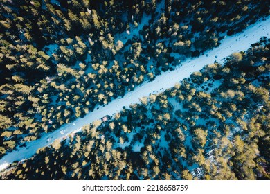 Top View Of A Dark Green Winter Forest Landscape. Aerial Nature Scene Of Pine Trees And Asphalt Road. Country Walkway Through The Mold Softwood Above.