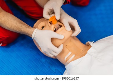 Top View Of Detail Of A Training Dummy With A Nasogastric (NG) Tube. Healthcare And Education Concept.