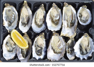 Top View Of A Dozen Fresh Oysters With Lemon Wedge At Kangaroo Island, Australia 