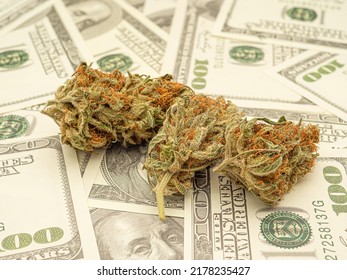 Top View Of Dried Cannabis Buds Flower Over US Dollar Banknotes. Medical Marijuana Flower. ​Concept Of Marijuana Plantation For Medical And Business