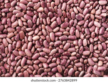 Top view of dried 