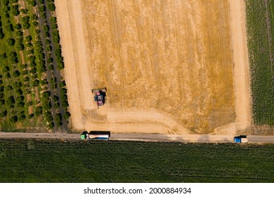 Top View Drone Flight Over A Wheat Field With A Combine Harvesting Wheat And A Truck Waiting To Be Loaded With Wheat Grains