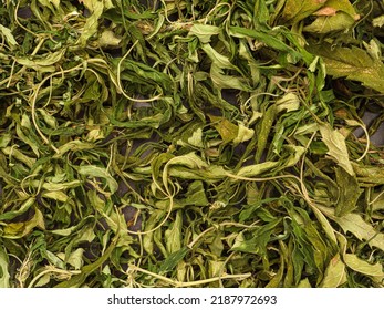 Top view of dry cannabis leaf tea. Textured marijuana leaves. Concept of beverage with cannabis herb