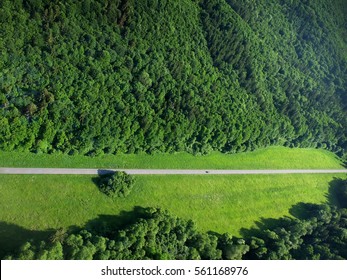 Top View Of Empty Road Near The Forest