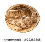 top view of empty walnut shell isolated on white background