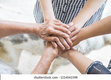 Top view Family hand showing unity putting hands stack together senior wrinkled hardworking of old woman place on top of other young people. Concept of teamwork, relationship, generation aging society