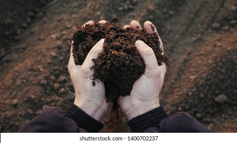 Top view: Farmer holding soil in hands close-up. Male hands touching soil on the field. Farmer is checking soil quality before sowing wheat.