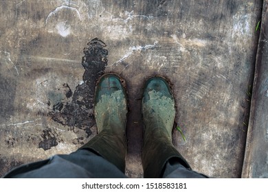 Top View Of Farmer Wearing Dirty Rubber Boots After Walking Through Muddy Field