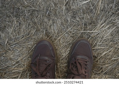 Top view of feet in brown leather male sneakers standing on hay, yellow dry  grass ground. Close-up of dark textile shoes on feet of man. empty copy space for inscription.  - Powered by Shutterstock