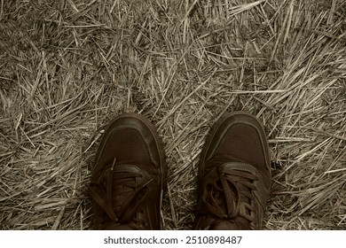 Top view of feet in brown leather male sneakers standing on hay, yellow dry  grass ground. Close-up of dark textile shoes on feet of man. empty copy space for inscription.  - Powered by Shutterstock