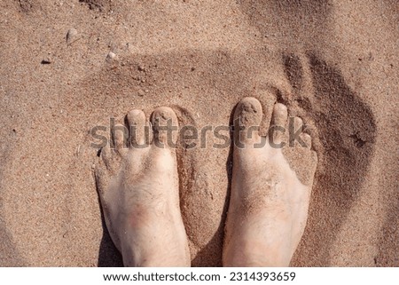 Similar – Image, Stock Photo sandpiper Flip-flops