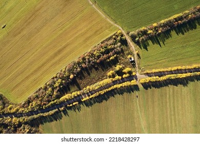 Top View Of The Fields With The Road And Autumn Yellow Trees In Line, On A Sunny Day. Aerial Photography Landscape In The Form Of An Abstract Texture