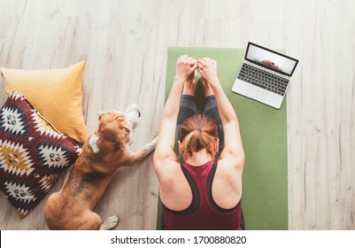 Top view at fit sporty healthy woman sit on mat in Paschimottanasana pose, doing breathing exercises, watching online yoga class on laptop computer. Her beagle dog keeping company next on the floor. - Powered by Shutterstock