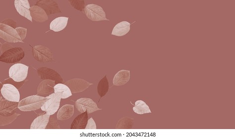 Top view flat lay composition with stylized autumn leaves and copy space on pink background for fall season concept and plant design.