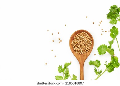 Top View Or Flat Lay Dry Coriander Seed Spice And Leaf Or Leaves In Wood Spoon On Wooden White Table Overhead Background                                                                 