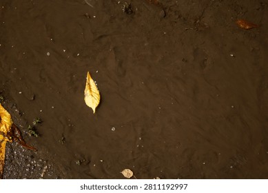 Top view flat lay of muddy water in a puddle with a fallen yellow autumn leaf floating on the surface.