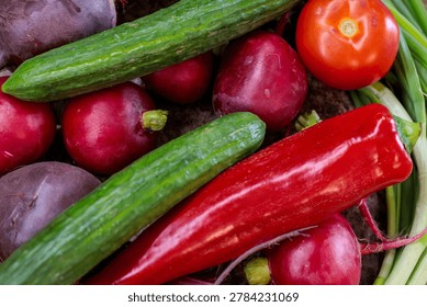  top view flat lay of multiple fresh vegetables featuring green cucumbers long red pepper dark radish ripe tomato and spring onion stalks