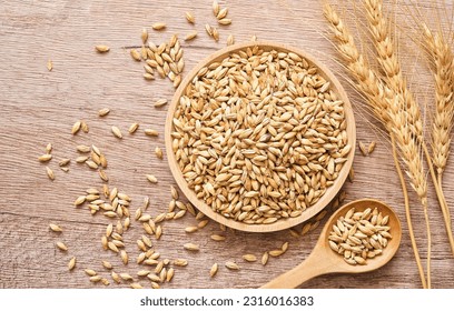 top view flat lay overhead malt barley grain beer whole in wood plate on wood table background. pile of malt barley grain beer whole. heap of malt barley grain beer whole food background - Powered by Shutterstock