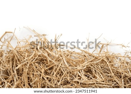 top view flat lay overhead dry hay straw grass isolated on white background. pile of dry hay straw grass isolated. heap of dry hay straw grass wheat isolated                                        