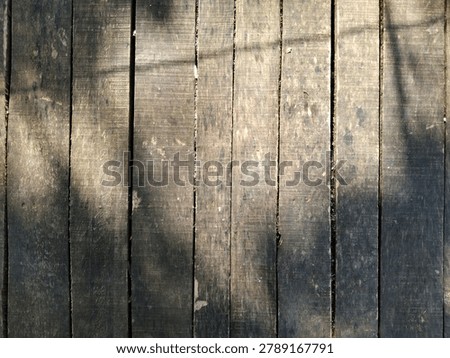Top view and flat lay perspective of old rustic wooden floorboards aligned vertically, featuring gentle natural tree branch shadows and sunlight contrast on the surface.