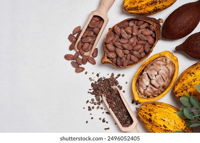 top view flat lay set fresh yellow ripe cacao pod or cocoa fruit and seed bean nib food white background with copy space