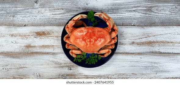 Top view or flat lay of a single cooked large Dungeness crab on dark blue plate with white wooden table underneath