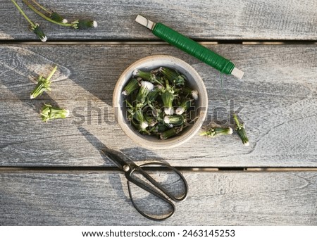 Similar – Image, Stock Photo A still closed dandelion flower.