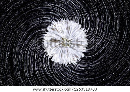 Similar – Image, Stock Photo florid Colour photo