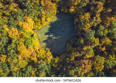 Top View Of A Forest Clearing From A Drone. Aerial Shot, Autumn Wood, Heart Shaped Meadow