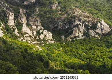 Top view forest mountain. Aerial view of rocky mountain. Tree tops from above. Sunlight on trees and shadows on rocks. Landscape of high cliff. Greenery and rugged stone formations. - Powered by Shutterstock