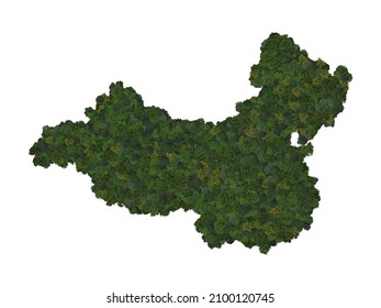 Top View Of A Forest Of Trees Forming The Map Of Mainland China. Top View. Environmental , Ecology, And Sustainability Concepts.