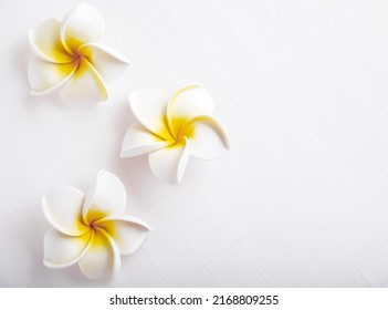 Top View Frangipani Flower On White Ceramic Tile. Copy Space.  Summer Spa Background.