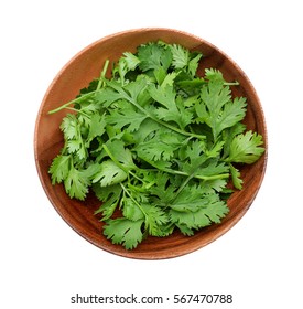 Top view of fresh coriander leaves in wooden bowl on white background. - Shutterstock ID 567470788