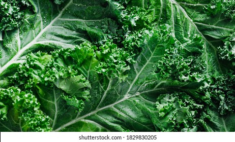 Top View Of Fresh Curly Kale Salad, Food Background, Macro Photography