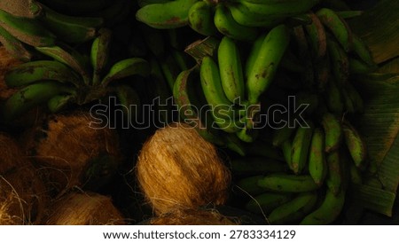 Top view of fresh old coconuts and green bananas, tropical fruits aesthetic