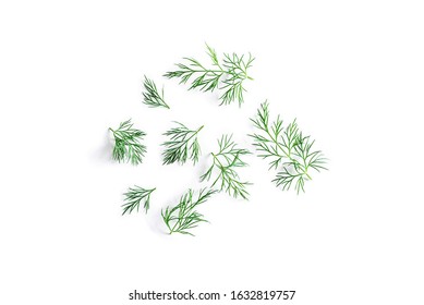 top view of fresh organic dill from the garden isolated on a white background 

