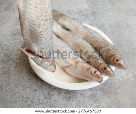 Top view of fresh raw flathead grey mullet fish (Mugil Cephalus) neatly arranged on a white plate against a dark background. Natural lighting highlights the texture and freshness, ideal for seafood, culinary, and healthy food concepts.