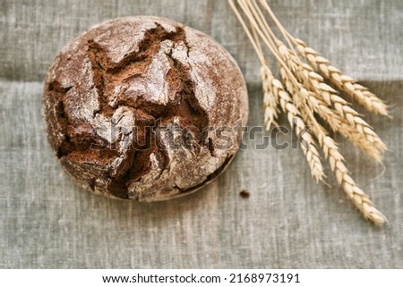 Top view of freshly baked rye bread on a yeast-free starter and on a mixture of whole grain, rye and wheat flour. It lies on a napkin, next to a dried flower with grains. Selective focus. 