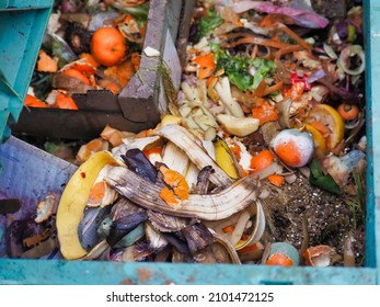 A Top View Of Fruit And Vegetables In A Dumpster, Food Loss And Waste