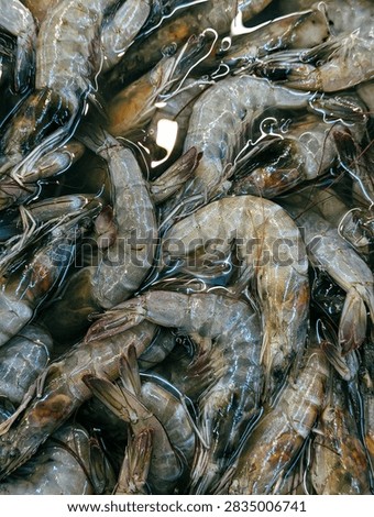 Top view full frame background texture of raw fresh prawns immersed in cold water displayed at wet market counter.