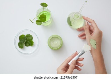 Top view of gotu kola decorated in petri dish and beaker with hand model in white background  - Shutterstock ID 2159566507