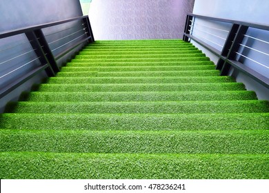 Top view green grass step stairs for interior background