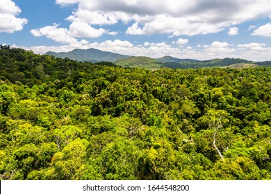 Top View Of Green And Majestic Australian Rainforest From A Cableway In Kuranda With Some Clouds And Blue Sky