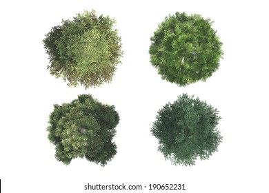Top view of green natural trees, isolated on white background.
