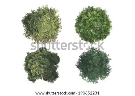 Top view of green natural trees, isolated on white background.
