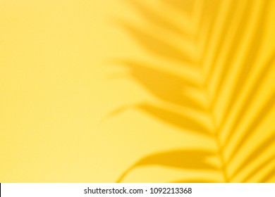 Top View Of Green Tropical Leaf Monstera Shadow On Yellow Background. Flat Lay. Summer Concept With Palm Tree Leaf, Copyspace