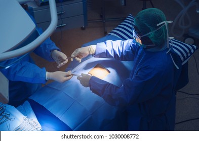 1,086 Hospital Bed Top View Images, Stock Photos & Vectors | Shutterstock